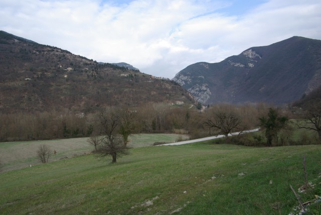 IMGP2483