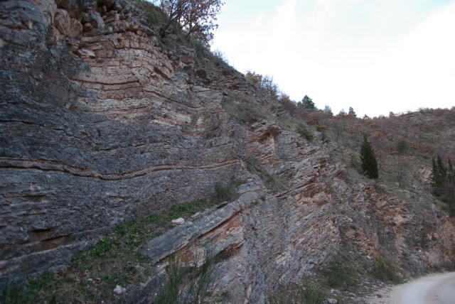 IMGP2494