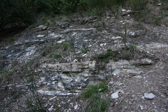 IMGP2781
