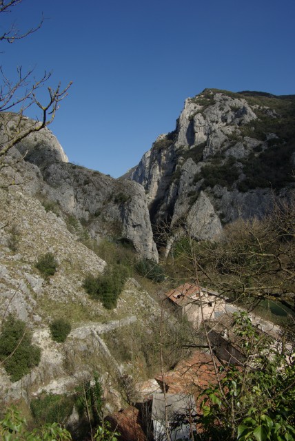 IMGP2518
