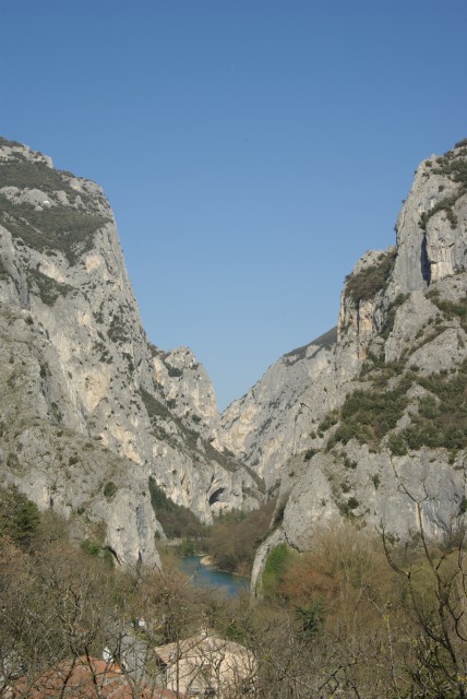 IMGP2529