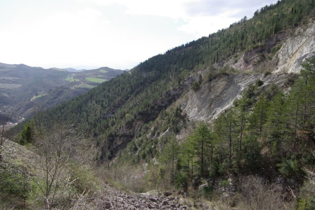 IMGP2577