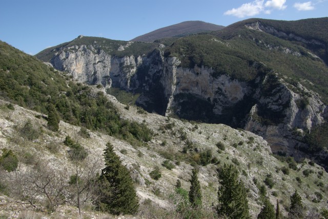 IMGP2578