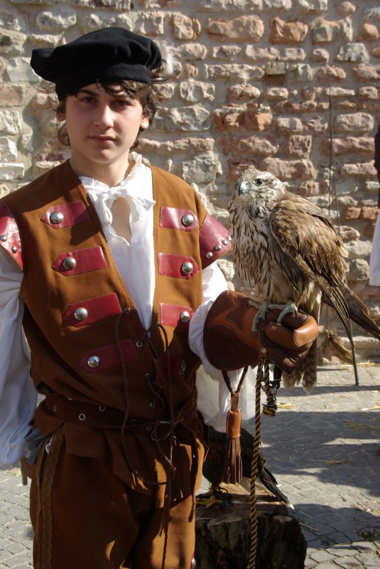 IMGP2688